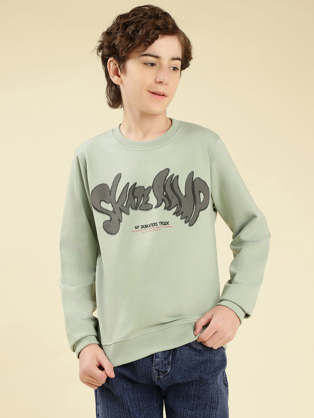 Lil Tomatoes Boys Cotton Looper Sweatshirt