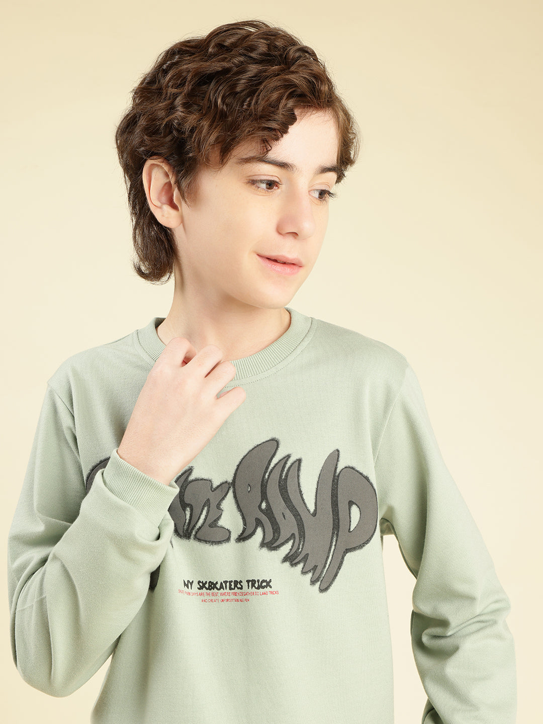 Lil Tomatoes Boys Cotton Looper Sweatshirt