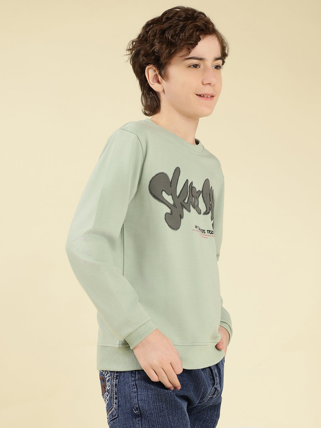 Lil Tomatoes Boys Cotton Looper Sweatshirt