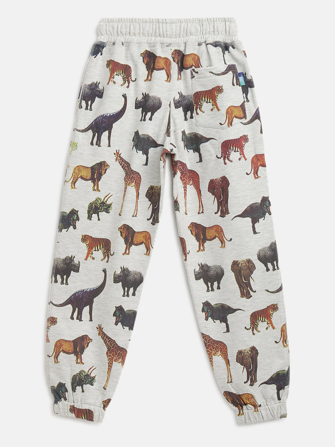 Lil Tomatoes Boys Looper Trackpant